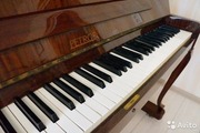 Фортепиано (пианино) Petrof